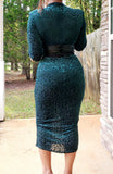 Velvet Mesh Emerald Dress